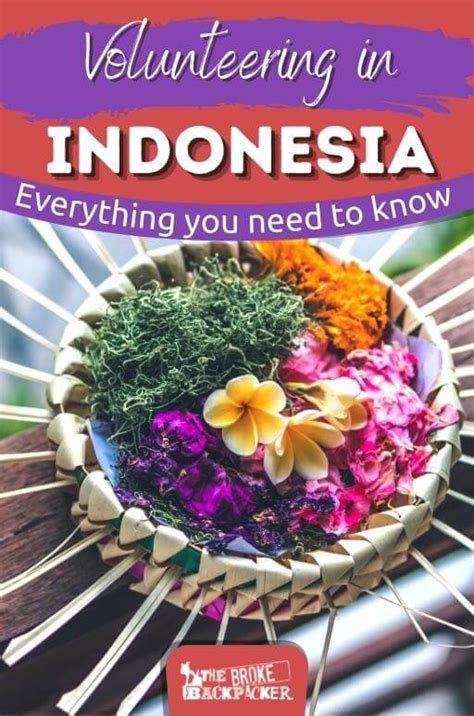 volunteering in indonesia|Biggest and BEST Guide to Volunteering in Indonesia (2024).